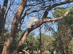 -宁波野生动物园