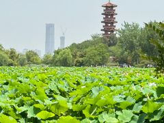 -云龙湖旅游景区