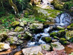 -藏龙百瀑风景区