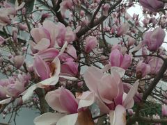 -南京工程学院(江宁校区)