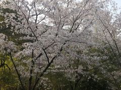 -玉山公园