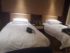 -合肥丰大国际大酒店