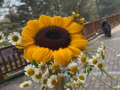 -麦当劳(龙华店)