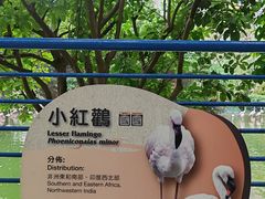 -九龙公园