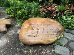 -香港大学