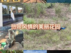 -班达拉奈克国际机场