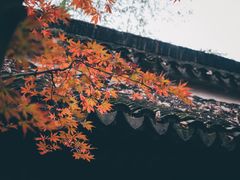 -拙政园