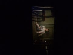 横店电影城(宝龙店)-横店电影城(李沧店)