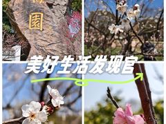 -无锡梅园公园