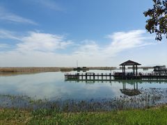 -苏州太湖湖滨国家湿地公园