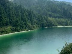 -武陵山森林公园