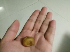 -阿男野栗王(金门路店)