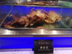 水产区-V-ONE西雅图海鲜自助餐厅(仓山万达广场店)