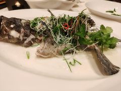-深圳福田香格里拉大酒店
