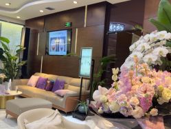 -洁铭新加坡医美