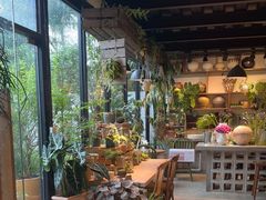 -自由生长植物工作室(深港花卉中心店)