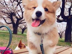 -中国职工之家