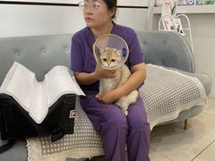 -萌兽医馆·眼科·异宠专科(三里屯店)