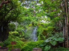 -Chom Cafe and Restaurant