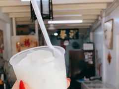-洪馨椰子