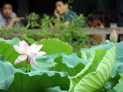 IMG_3243-荷香居(洞企石路店)