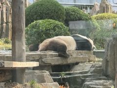 -大连森林动物园