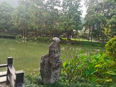 -杭州花家山庄