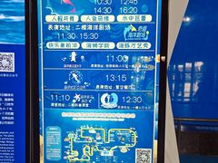 -泉城欧乐堡海洋极地世界