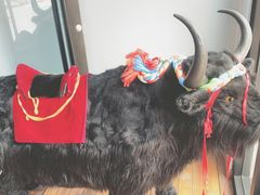 -后院犇牛主题餐厅(云岗店)