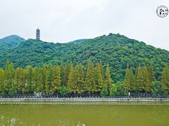 -黄贤森林公园
