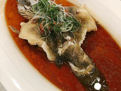 清蒸笋壳鱼-麟1929(外滩店)