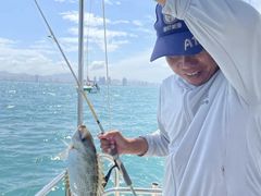 -小猫钓鱼海钓俱乐部(椰梦长廊店)