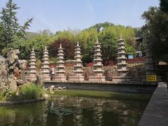 -泰山风景名胜区-普照寺