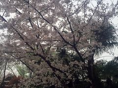 -堤角公园