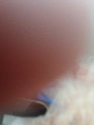 -白雪公主婚纱摄影