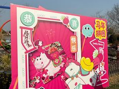 -荷兰花海