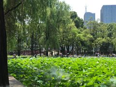 -四川大学(望江校区)