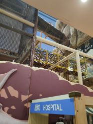 -卡通尼·Safari非洲探索乐园·生日会(金桥国际商业广场店)