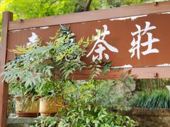 -嘉龙茶庄