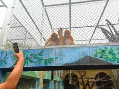 -西安秦岭野生动物园