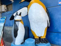 -太平洋海底世界