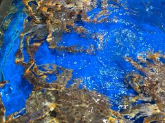 -盒马鲜生(馥邦国际店)