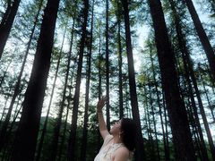 -洛阳白云山景区