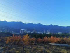 -白水寺森林公园