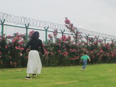 -瑶湖郊野森林公园