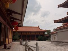 -三水森林公园