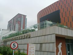 -中国宋庆龄青少年科技文化交流中心