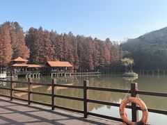 -采石矶景区