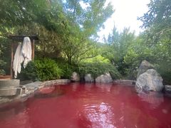 -麦积山温泉