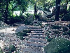 -火炉山森林公园